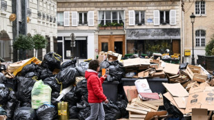 French govt to force Paris binmen back to work as trash stacks up