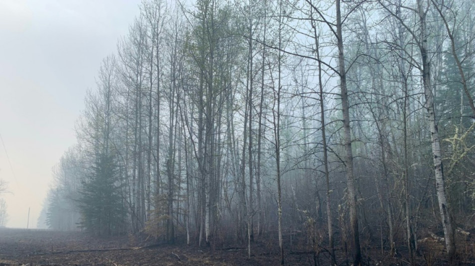 Smoke choking Canadians but cooling wildfires by blocking out sun