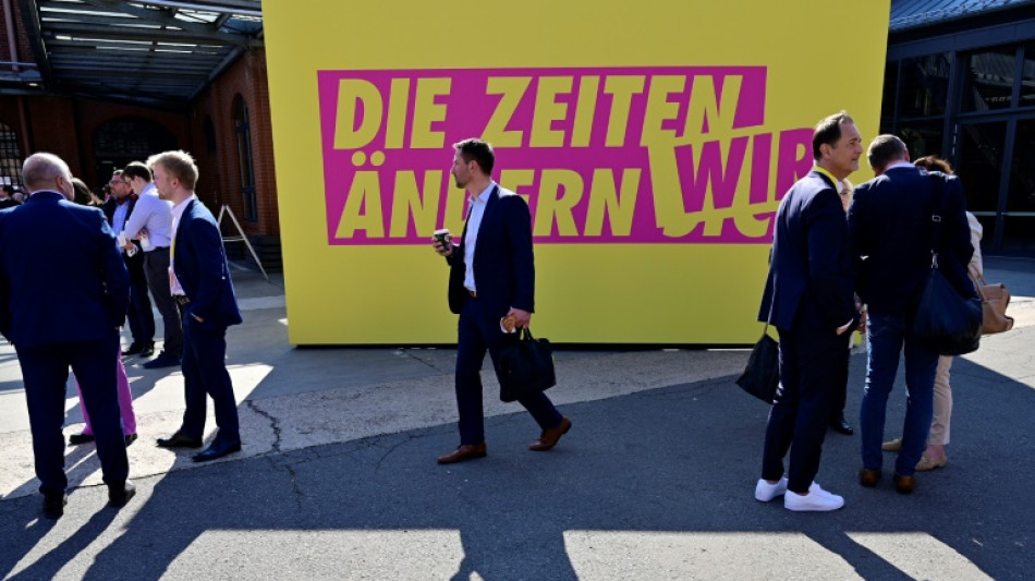 FDP wirbt für "wehrhafte liberale Demokratie"