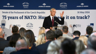 NATO meets as calls mount to let Kyiv use Western arms in Russia