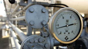 Il prezzo del gas sale e in chiusura sfiora i 29 euro