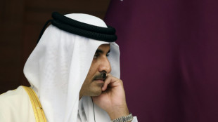 Qatar hit by 'unprecedented campaign' over World Cup, says emir