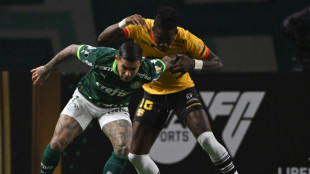 Sem Dudu, Palmeiras recebe Deportivo Pereira por vaga nas semis da Libertadores