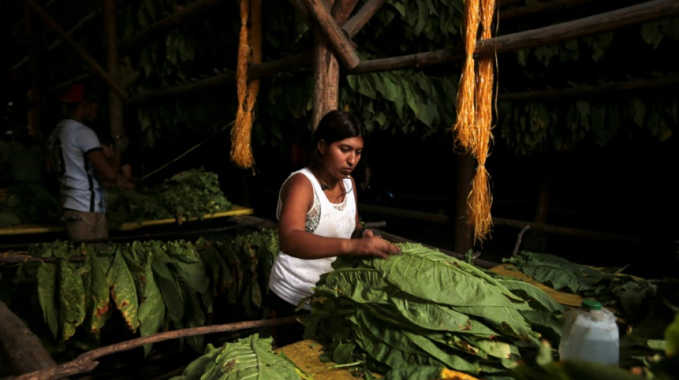 Las mujeres y los pobres en el campo son los más afectados por el cambio climático, según la FAO