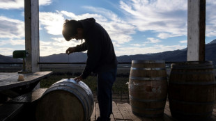 Tourist influx raises fears for Mexico's wine heartland