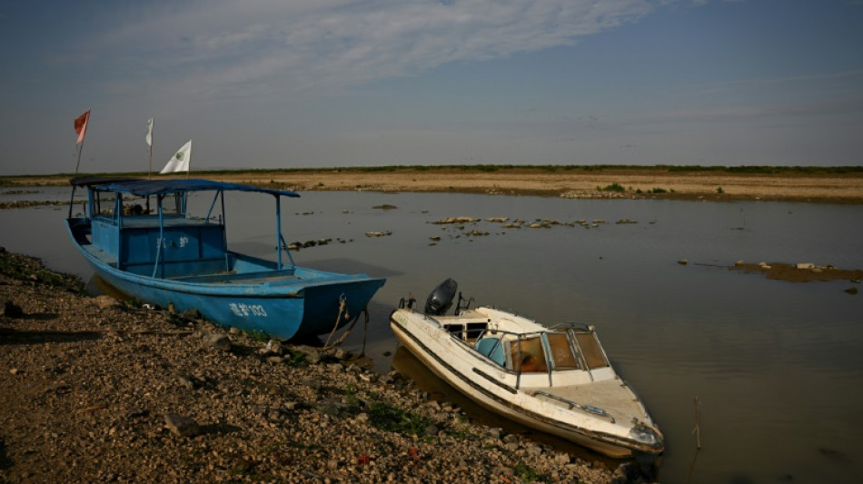 Dam plans threatens China's migratory bird haven