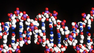 Scoperto come il Dna ripara i danni da raggi Uv, sole e alcol