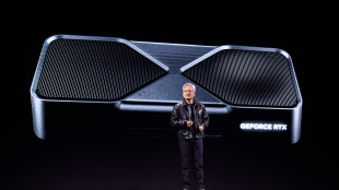 Nvidia affonda a Wall Street, perde il 13%