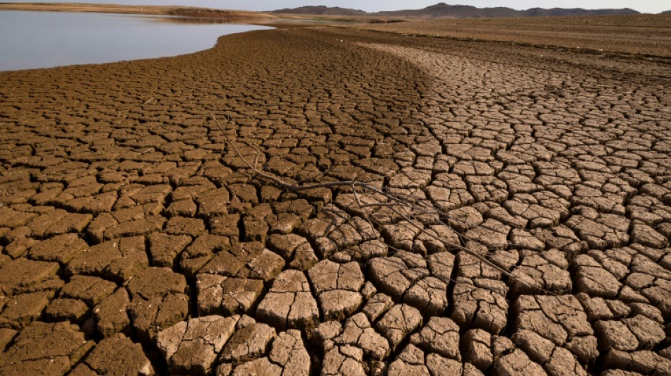 COP16: les sécheresses coûtent près de 300 milliards d'euros par an au monde, alerte l'ONU