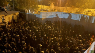 Iraqi protesters torch Swedish embassy in Baghdad 