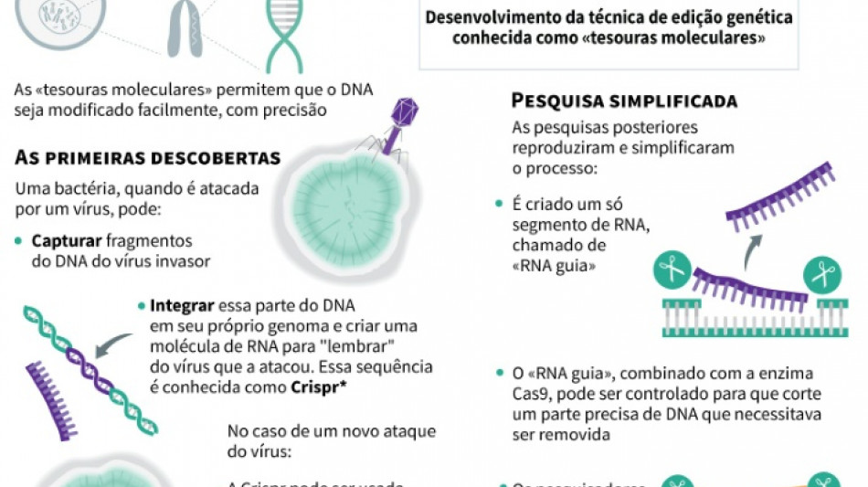 EUA autoriza primeiro tratamento com tesouras moleculares Crispr