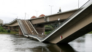 Ponte desaba na cidade alemã de Dresden e não deixa feridos