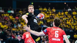 Handball: Berlin und Flensburg im Finale der European-League