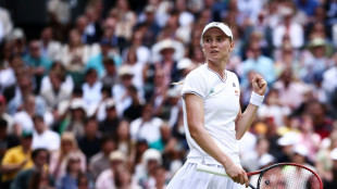 Ruthless Rybakina sets up Krejcikova Wimbledon semi-final