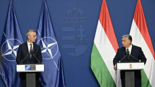 NATO, Hungary agree Orban 'will not block' greater Ukraine support