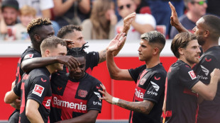 Leverkusen schießt sich an die Spitze, VfB schlägt Freiburg