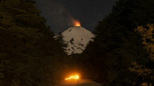 Le volcan Villarrica, l'un des plus actifs du Chili, met en alerte les autorités