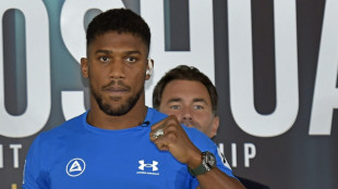 Boxen: Joshua will zurück an die Spitze