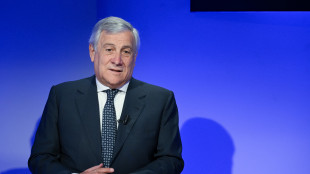 Tajani, Salis in ambasciata? Da valutare se possibile