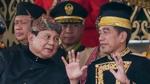 Indonesia leader to reshuffle cabinet weeks before leaving office