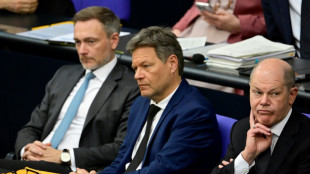 Germany's coalition in impasse over 2025 budget