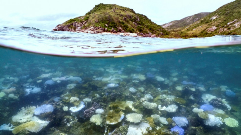 Australia lanza un plan multimillonario para mejorar el agua en la Gran Barrera de Coral