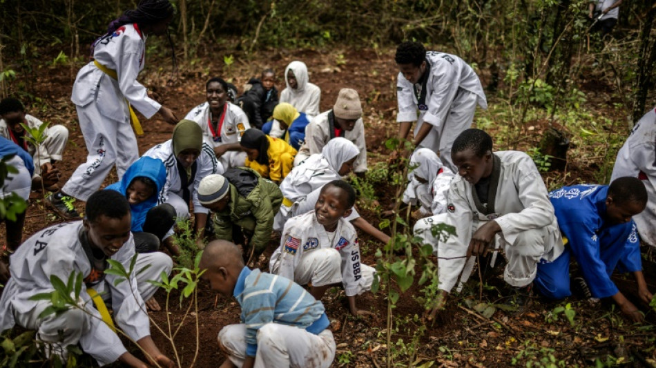 Planting trees in wrong places heats the planet: study