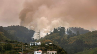 Firefighters make gains against Tenerife wildfire