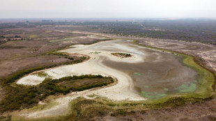 Spain farmers jailed for illegal water tapping at nature reserve