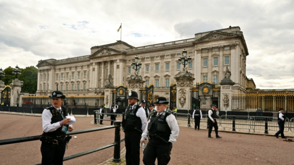 Police detain man after 'shotgun cartridges' thrown into Buckingham Palace