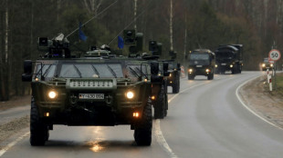 Grünen-Chefin Lang fordert "gute Ausstattung" der Bundeswehr 