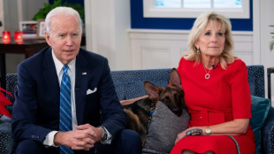 La Casa Blanca de Biden: un columpio, un perro y misa