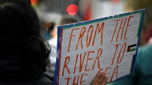 Meta clears use of Palestinian slogan 'From the River to the Sea'