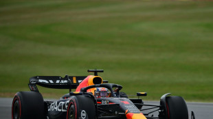 Verstappen in Silverstone auf der Pole Position