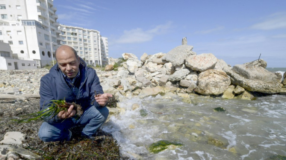 'Lungs of the Mediterranean' at risk