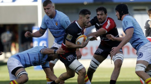 Top 14: Toulouse sombre et s'enfonce dans le doute à Perpignan