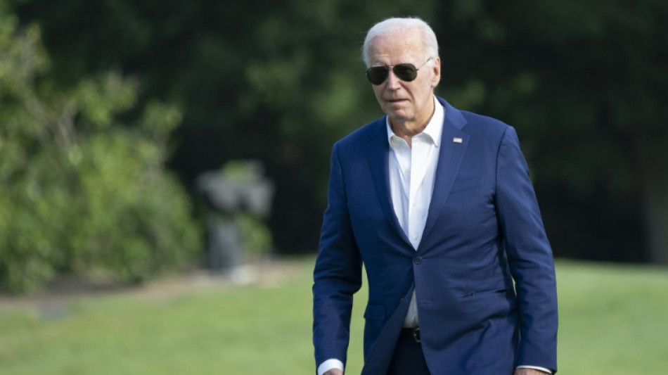 Divided Democrats meet in key test for Biden