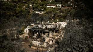 Griechische Feuerwehr weiter im Einsatz gegen Waldbrände bei Athen