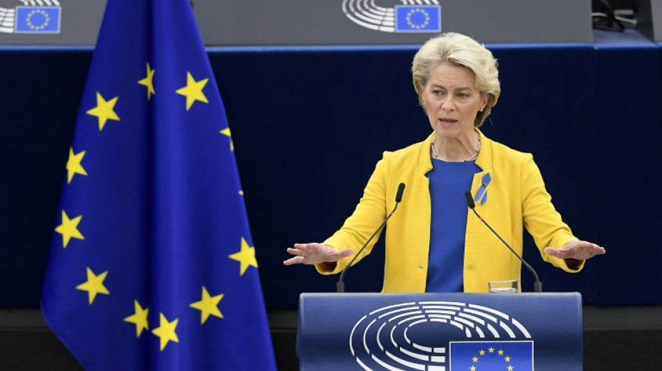 EU chief von der Leyen faces crunch parliament vote