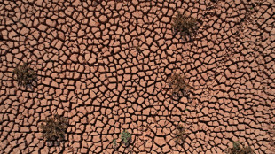 IPCC: Kampf gegen Klimakrise für Erhalt von "lebenswerter" Erde dringend nötig