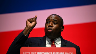 David Lammy: friend of Obama now UK foreign minister