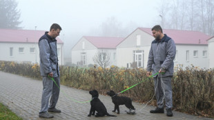 Fiers "d'aider les aveugles": des détenus tchèques forment des chiens guides