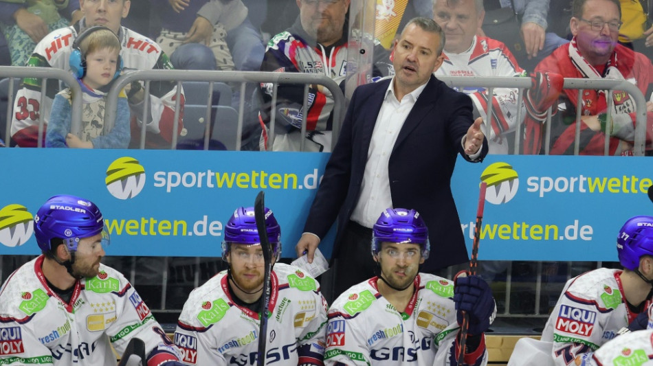 Eisbären verpassen Play-offs, Haie direkt im Viertelfinale