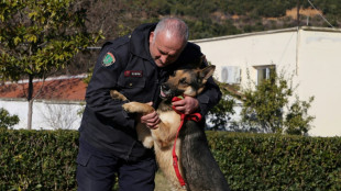 Settling Albania's 'hero' police dogs into retirement