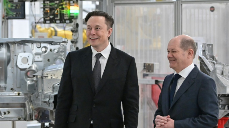 Scholz zum Umgang mit Musk-Äußerungen zu deutscher Politik: "Cool bleiben" 