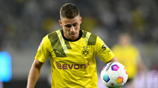 BVB verkauft Hazard nach Anderlecht