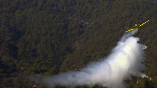 Spagna: allarme incendi, bruciati 2.000 ettari boschivi a Cuenca