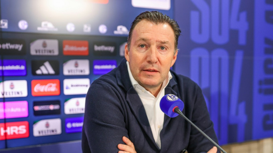 "Blaues Blut": Wilmots will Schalke in die Bundesliga führen