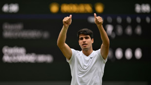 Defending champion Alcaraz into Wimbledon final