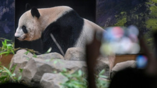 Thousands bid farewell to Tokyo zoo pandas before return to China